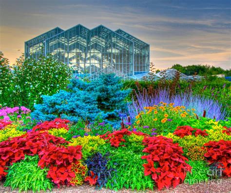 Frederick meijer garden - An annual celebration of autumn, Chrysanthemums & More! is the largest of its kind in Michigan, featuring expansive chrysanthemum displays, fall foliage and family-friendly activities. + Add to Google Calendar. + iCal / Outlook export. Tags: Autumn.